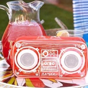 Speaker bag! Aerie. Brand New. Newer worn.